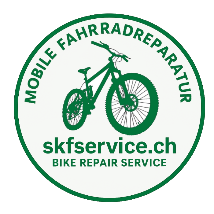 skfservice
